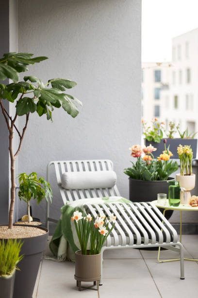 istock Plants and flowers on a balcony in Leipzig 1479372696