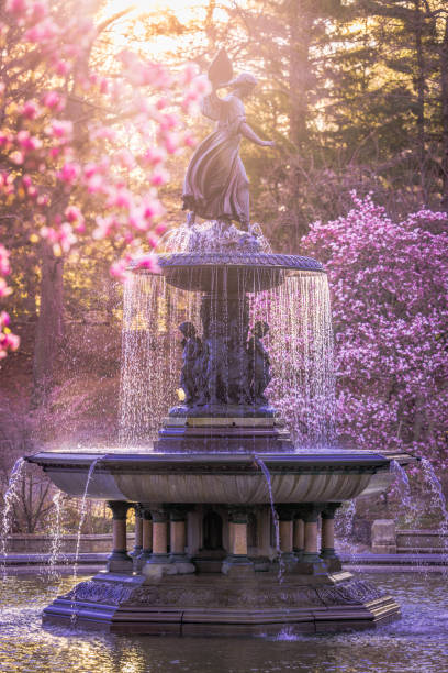 Bethesda Terrace's Fountain in Central Park with cherry blossoms blooming in the morning sun