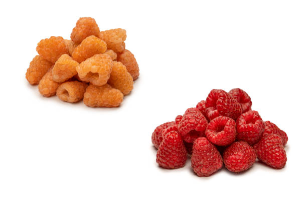 istock Tasty raspberries isolated on  white background. 1479381164