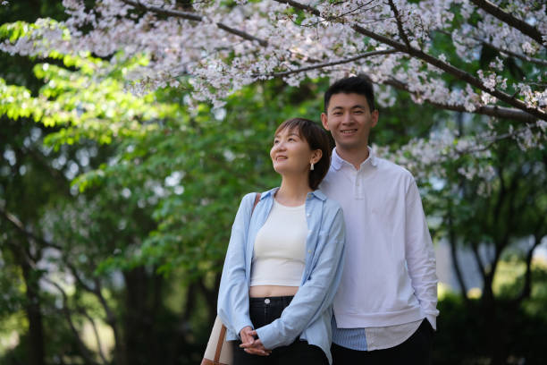 istock smile young Asian couple enjoy sakura under white cherry blossom tree 1479383259
