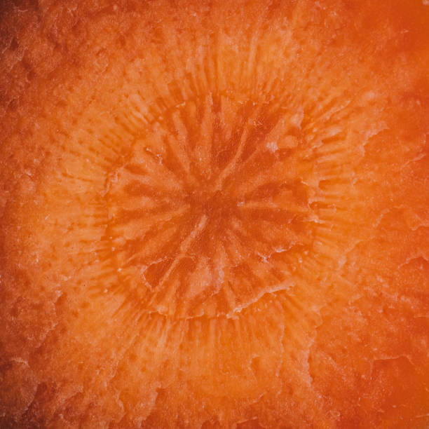Closeup shot of a carrot slice texture