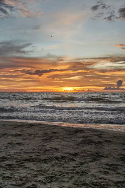 istock Sandy beach illuminated by warm sunset light perfect for a coastal getaway 1479397434