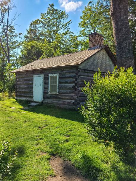 istock Rustic log cabin in the green meadow surrounded by lush vegetation. 1479403654