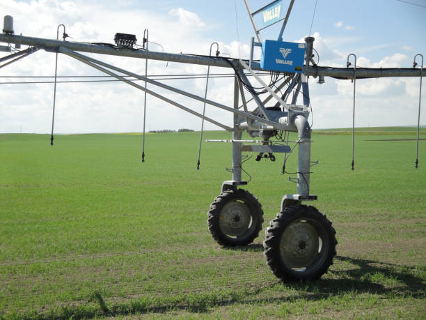 istock Irrigation of a field in Southern Alberta 1479406804