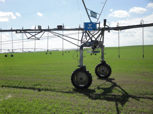 istock Irrigation of a field in Southern Alberta 1479406808