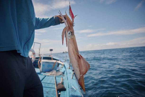 A fisherman standing on a boat and holding up a large squid