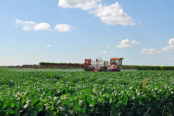 istock Tractor fertilizes crops 147941178