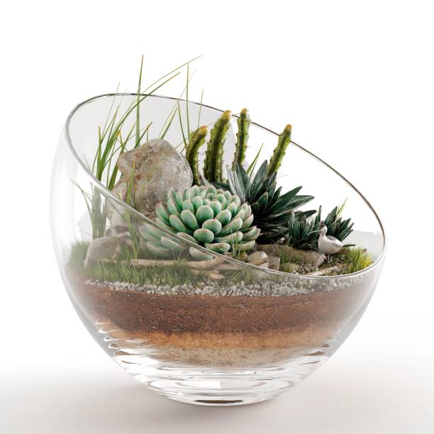istock A glass vase with plants, 3d rendering 1479412551