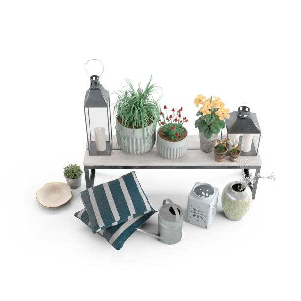 istock some decorative plants sitting on wooden surface, 3d rendering 1479412573