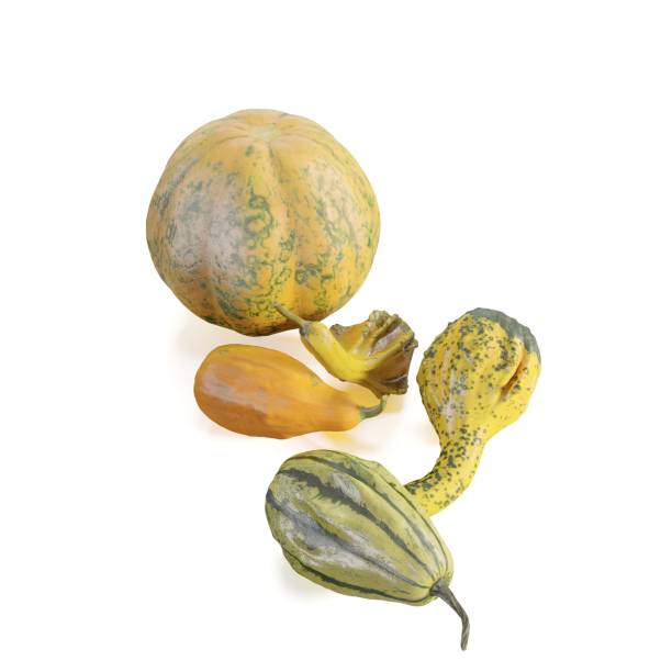 istock a group of different varieties of vegetables are arranged in a group, 3d rendering 1479412970