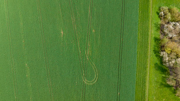istock Agricultural field - aerial view 1479414580