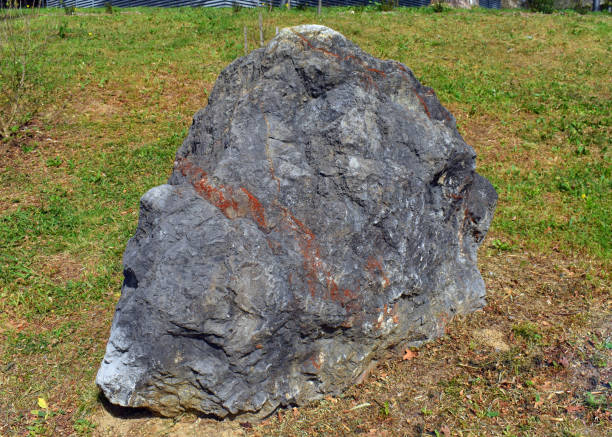 istock Urgonian limestone from the Cretaceous, Aptian, 119 Mya 1479415199