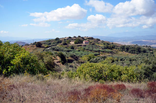istock Greece, Crete, Agricultural landscape, 1479415344