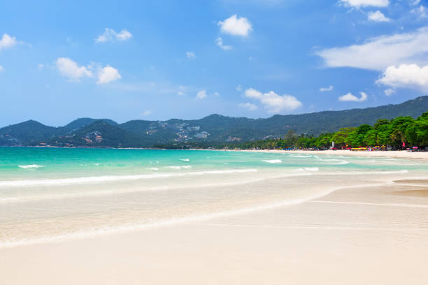 View of beautiful white sand beach with turquoise water of Chaweng beach, in Koh Samui, Thailand. stock photo