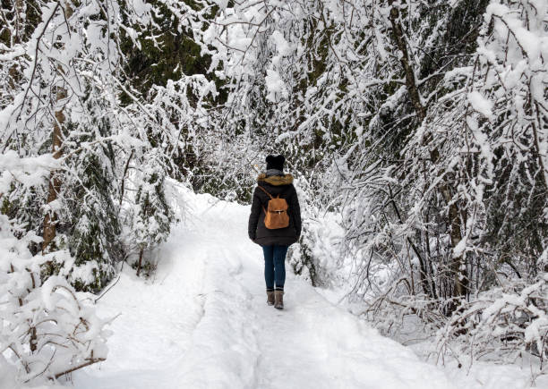 istock Back view of a young female walking through the winter forest 1479417283