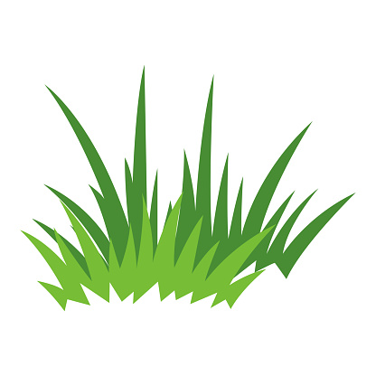 Illustration of grass. Forest or park landscape element. Seasonal natural image.