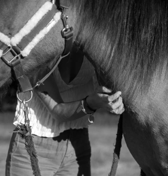 istock Woman and horse 1479419844