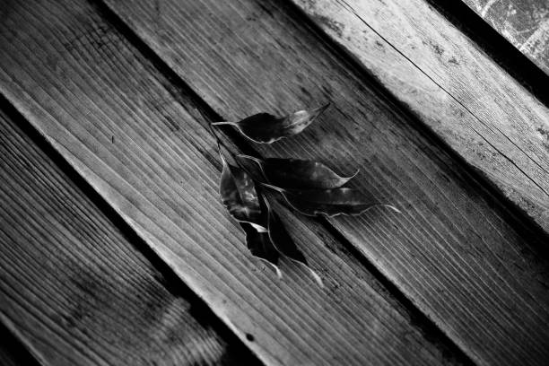 A top view of leaves on a wooden deck surface
