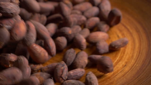 Cacao Bean Falling On Wood Tray Slow Motion Close-up Shot.