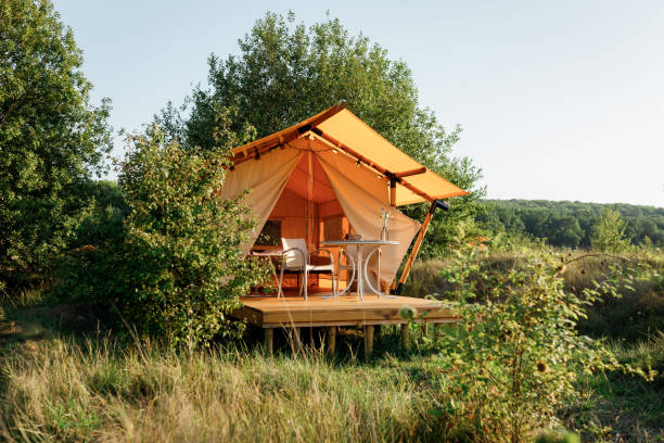 istock Cozy open glamping tent with light inside during sunset. Luxury camping tent for outdoor summer holiday and vacation. Lifestyle concept 1479423564