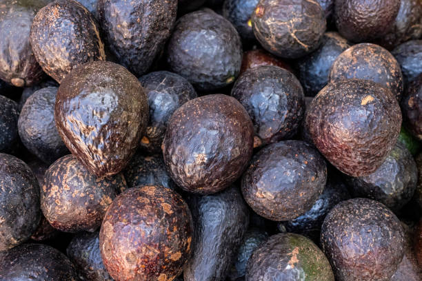 istock Avocado in the Thailand market 1479424157