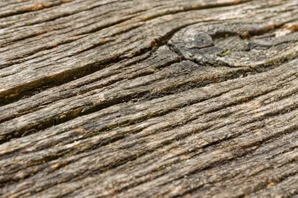 Closeup wooden texture background brown grain pattern surface