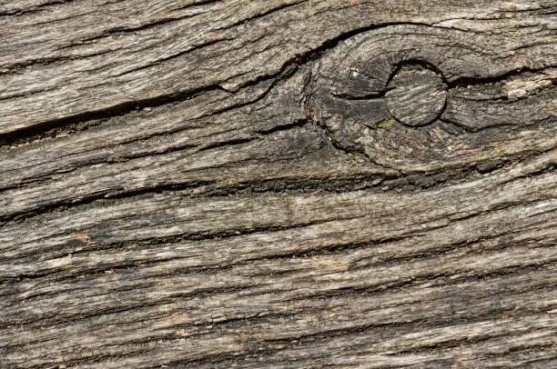 Closeup wooden texture background brown grain pattern surface