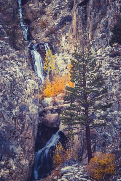 istock Waterfall flowing between a rocky gorge with trees growing in the rocks 1479424621