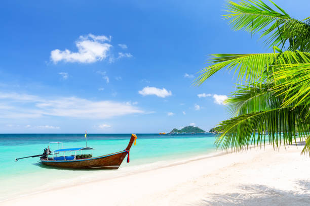 Palm tree and long tail boat on white sand tropical beach in Koh Tao island, Surat Thani Province, Thailand. stock photo