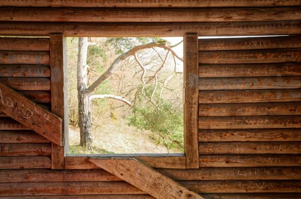 Wooden barn window providing a view of a tree outdoors