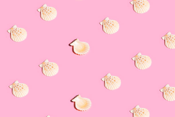 Shell Pink Color Square 28,300+ Pink Shell Stock Photos, Pictures & Royalty-Free Images - iStock