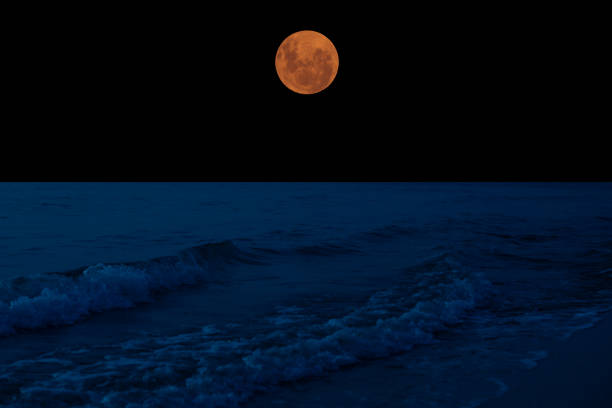 Seascape in moonlight
