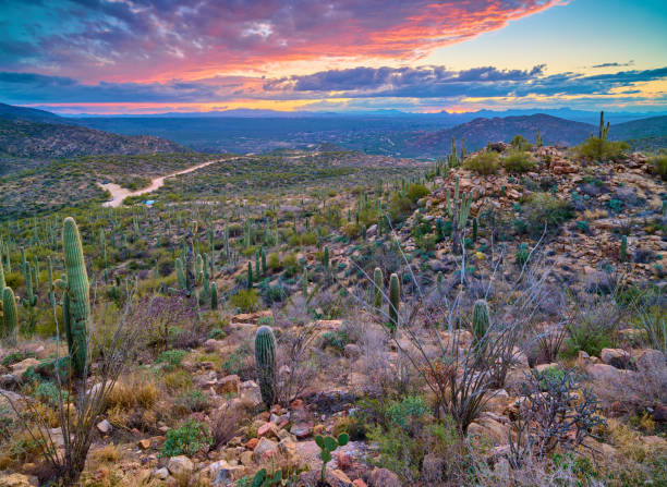 istock Dusk over Tucson, AZ shot from Redding Pass road. 1479436264