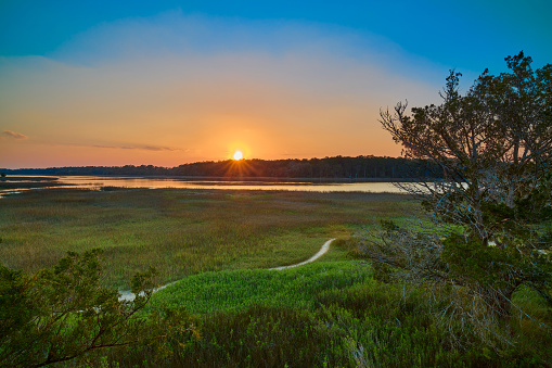 Sunset viewed from the observation tower at Skidaway Island State Park, GA.