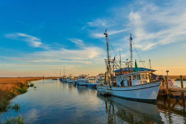 tramonto con barche di gamberetti lungo un molo a tybee island, ga. - patrick quay foto e immagini stock