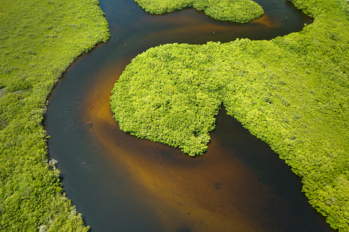 Aerial view out of a helicopter (with removed windows) of meandering Khwai River in Moremi National Park in Okavango Delta, Botswana, Africa.
