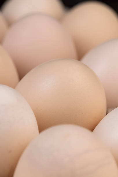 istock Tray with a large number of white chicken eggs 1479437976
