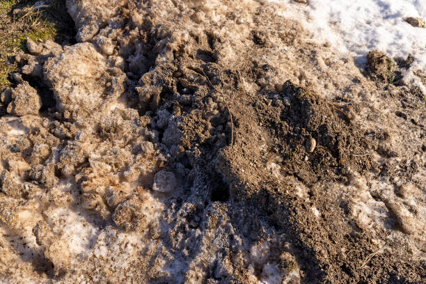 istock dirty old ice collected from the highway 1479438203
