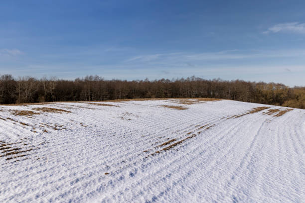 istock agricultural field for planting plants in winter 1479438516