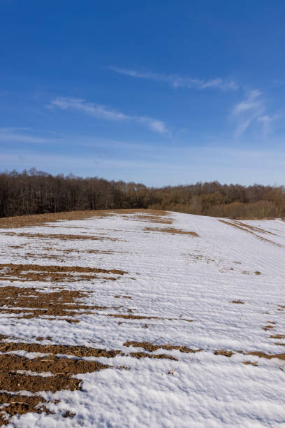 istock agricultural field for planting plants in winter 1479438521