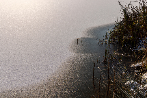 The surface of the lake covered with ice and snow with reeds, the water frozen in the swamp in the winter season