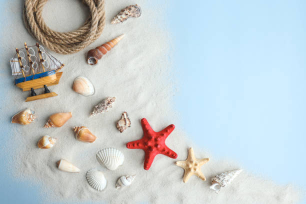 istock Seashells, Starfish and corals on blue background, top view, copy space. Summer vacation or holiday concept 1479440496