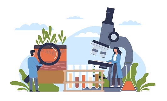 Soil analysis, study of composition of substances and microorganisms in ground layer structure sample. Scientists in laboratory. Bioengineering and chemistry research cartoon flat style vector concept