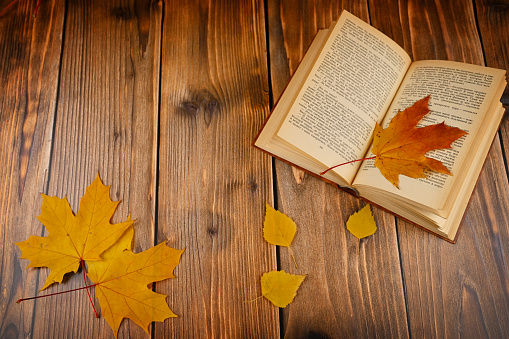 An old paper book and autumn leaves on a wooden background