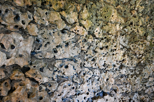 Closeup of limestone karst rock on a wall