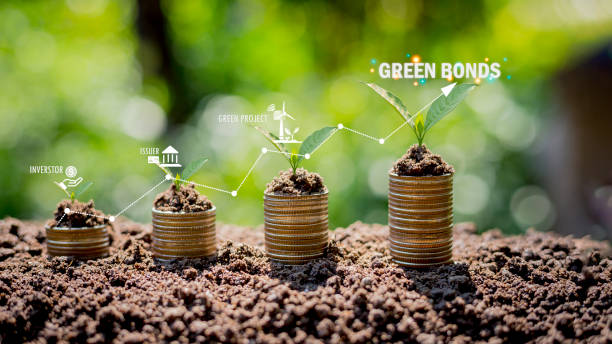 istock GREEN PROJECT coin stack mechanism gives bond concept Raising funds to support green projects green bond green bond related icons 1479446443