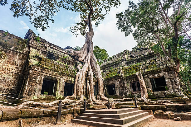 istock Ta Prohm Temple, Angkor, Cambodia 147944655