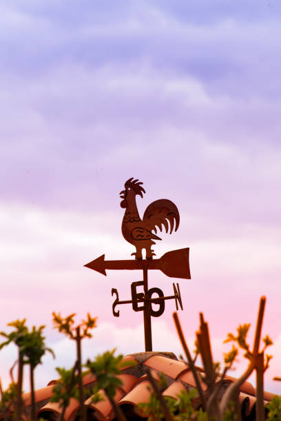 weathervane in rooster shape, sunset background. - roof roof tile rooster weather vane imagens e fotografias de stock