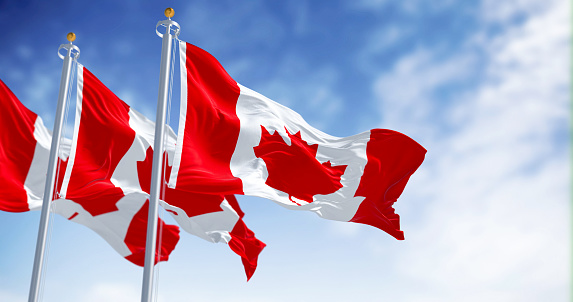 Three Canada national flags waving in the wind on a clear day. White square in center and red stylized maple leaf with eleven points. Selective focus. 3D illustration render. Rippled textile