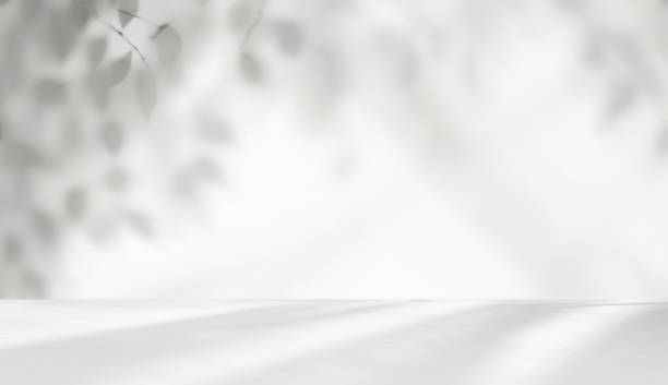 istock Beautiful original background image in light gray tones and shadow from leaves. 1479451401